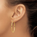 14k Oval Polished Hoop Earring