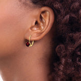 14k 6mm Garnet Leverback Earrings